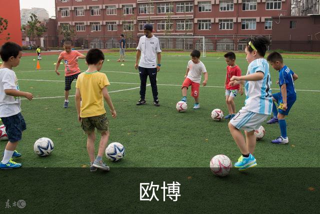 欧博公司介绍